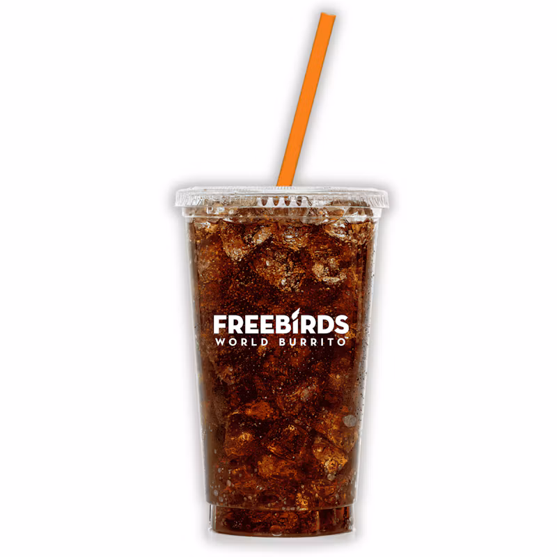 Large Fountain Drink