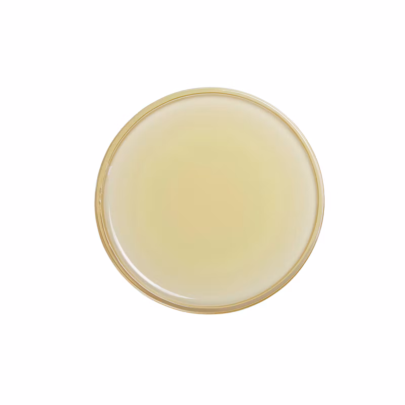 Lime Juice 2oz