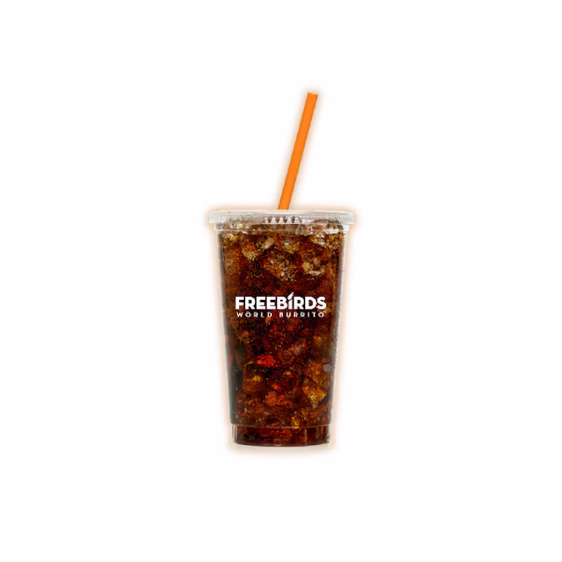 Regular Fountain Drink